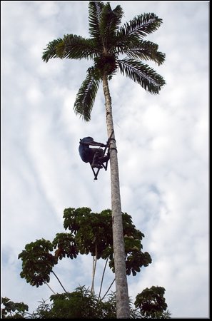 25.JPG