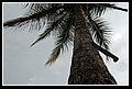 062.JPG