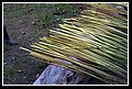 072.JPG