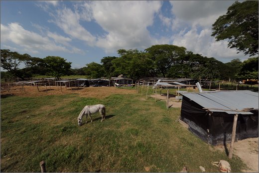 (1)-las pavas accampamento in cambuches - municipio buenos aires.jpg