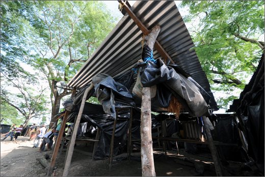 (14)-las pavas accampamento in cambuches - municipio buenos aires.jpg