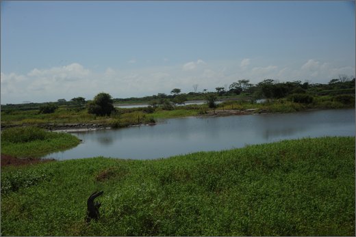 (2)-da rioviejo a las pavas - municipio buenos aires.jpg