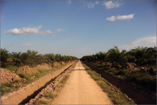 (30)-da las pavas a rioviejo palmeti per olio combustibile - municipio buenos aires.jpg