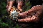 (2)-territorio di mina central. marco tullio cantillo mostra la roccia con l'oro.jpg