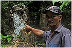 (3)-territorio di mina central. marco tullio cantillo mostra la roccia con l'oro.jpg