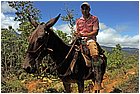 (27)-da mina facil a san pedro frio (mina vieja). daniel accompagnante di massimo sulla mula.jpg