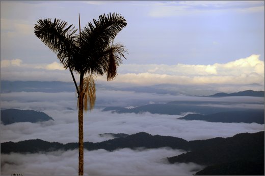 (10)-da san pedro frio (mina vieja) a mina mocha.jpg