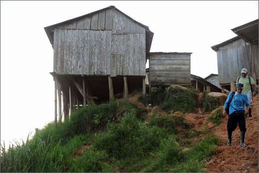(63)-san pedro frio (mina vieja).jpg