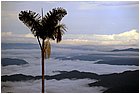 (10)-da san pedro frio (mina vieja) a mina mocha.jpg
