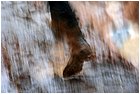 (16)-san pedro frio (mina vieja). le strade.jpg