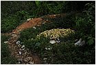 (67)-mina mocha. rifiuti nel campo.jpg
