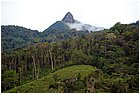 (9)-san pedro frio (mina vieja). la teta..jpg
