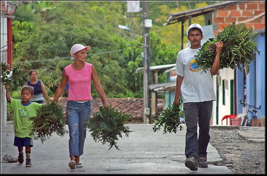 04 San Luis.jpg