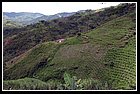 35 Frazione di Villanueva .jpg