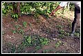 Arauca_Missione DSC_0071.JPG