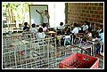 Arauca_Missione DSC_0121.JPG