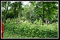 Arauca_Missione DSC_0175.JPG