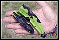 20 Cuatro esquina. Platano colpito da glisolfato.jpg