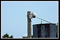 42 Saravena. Controllo telecamera punta edificio ADUC.jpg