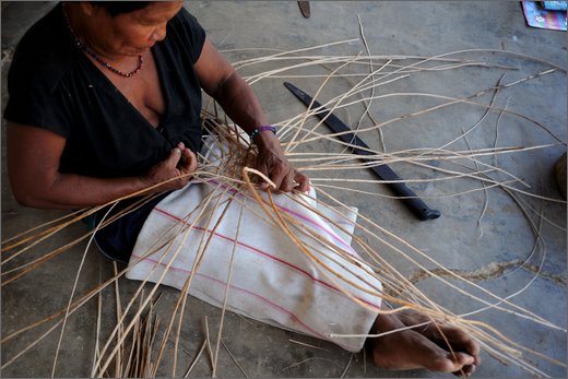 19-dintroni honduras. bari birikaira. costruendo ceste.jpg