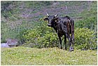 32-cartagenita, dintorni.jpg