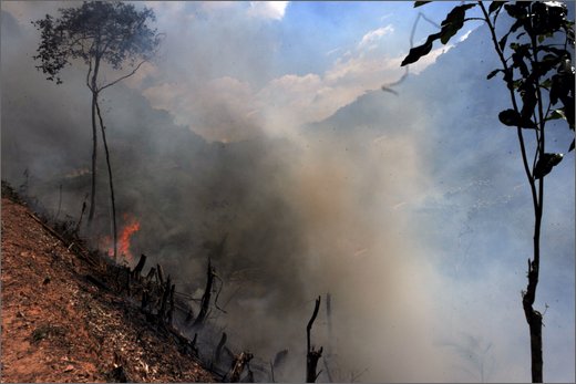 07-da bari verso honduras. incendio per bonificare.jpg