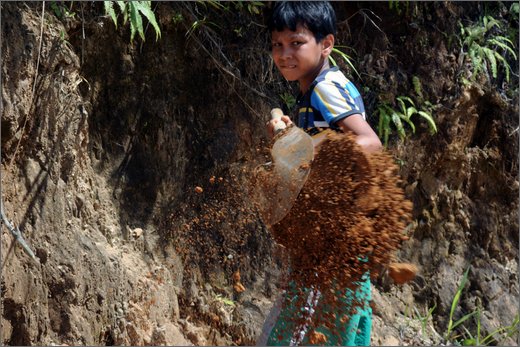 32-dintorni honduras. lavoro comunitario manutenzione strada.jpg