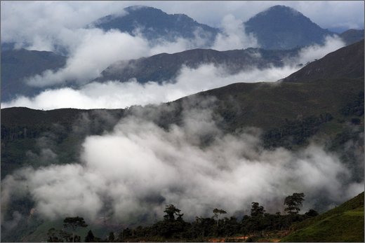 27-guaciles.jpg