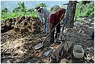 14-san calixto. preparazione mattoni in terra battuta.jpg