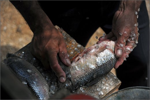 09-trinidad. vendendo il pesce.jpg