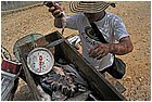 08-trinidad.jpg