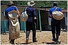 26-trinidad.jpg