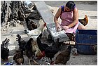 35-trinidad.jpg
