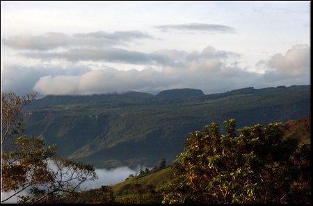 Hacari_DSC_0210.JPG