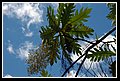 LaVega_DSC_0374.JPG