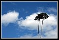 PuertoCatatumbo_DSC_0073.JPG