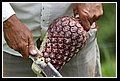 Bogotana_DSC_0141.JPG