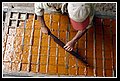 Culebrita_DSC_0584.JPG