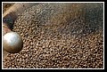 ElAserrio2_DSC_0215.JPG