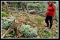 Guasiles_DSC_0176.JPG