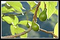 LaVega_DSC_0238.JPG