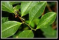 PuertoCatatumbo_DSC_0070.JPG