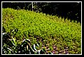 PuertoCatatumbo_DSC_0076.JPG