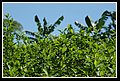 PuertoCatatumbo_DSC_0083.JPG