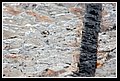 RioCatatumbo_DSC_0108.JPG