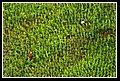 SanCayetano_DSC_0022.JPG