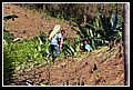 SantaCatalina_DSC_0136.JPG