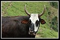Villanueva_DSC_0268.JPG