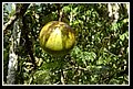 Villanueva_DSC_0307.JPG