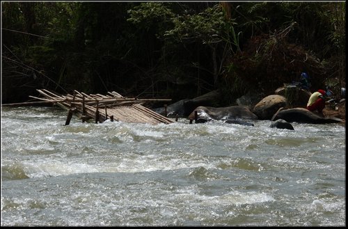 34 Atarraia per la pesca Yolomb.jpg